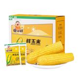 傻小胖黄糯玉米礼盒 Yellow Glutinous Corn gift box 2kg x 4 box