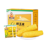 内蒙傻小胖玉米礼盒 SXP CORN GIFT BOX 4 X 5 X 400g